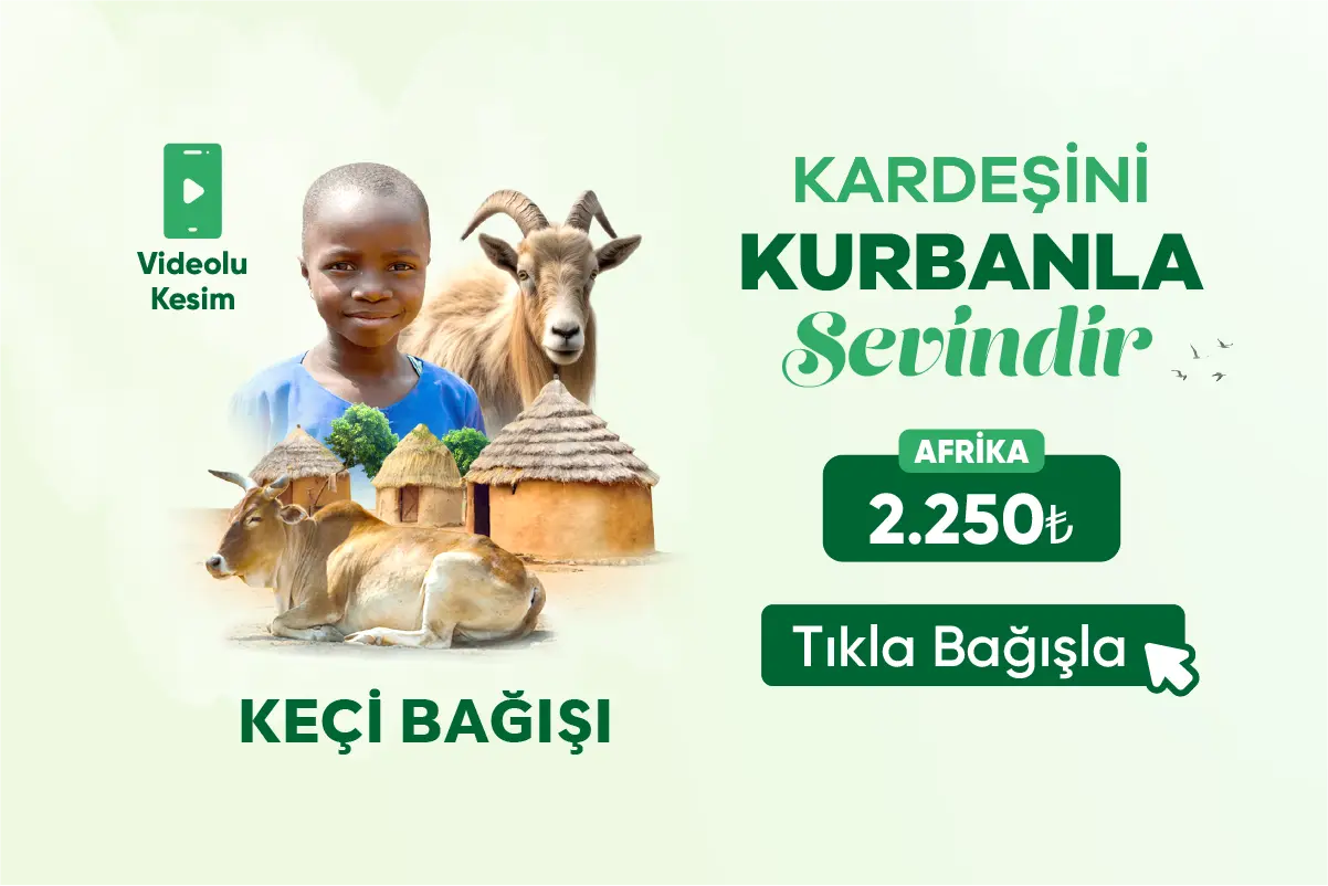 tikla bagisla B